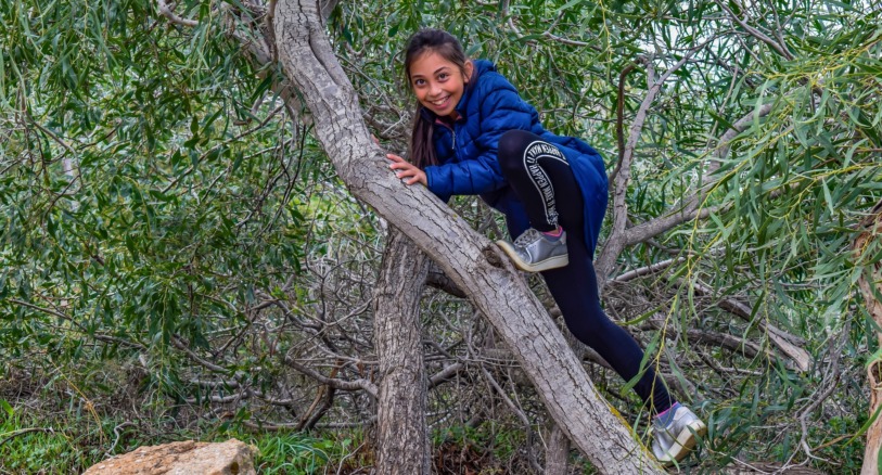 girl climbing tree rose and lion leaders